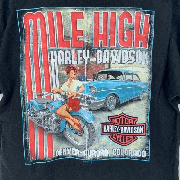 Harley-Davidson Skull Graphic T-Shirt Black Denver Aurora Biker Tee - Picture 5 of 8